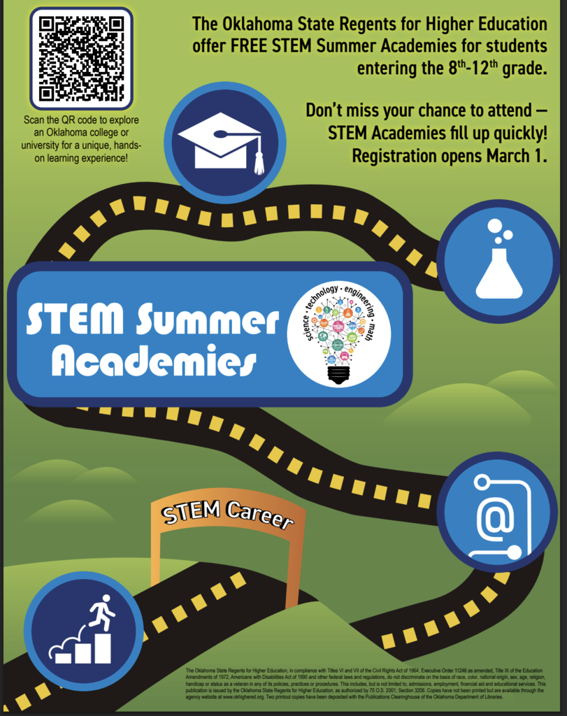 STEM Summer Academies