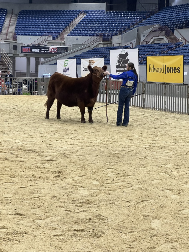 1st in her class and showmanship winner!!