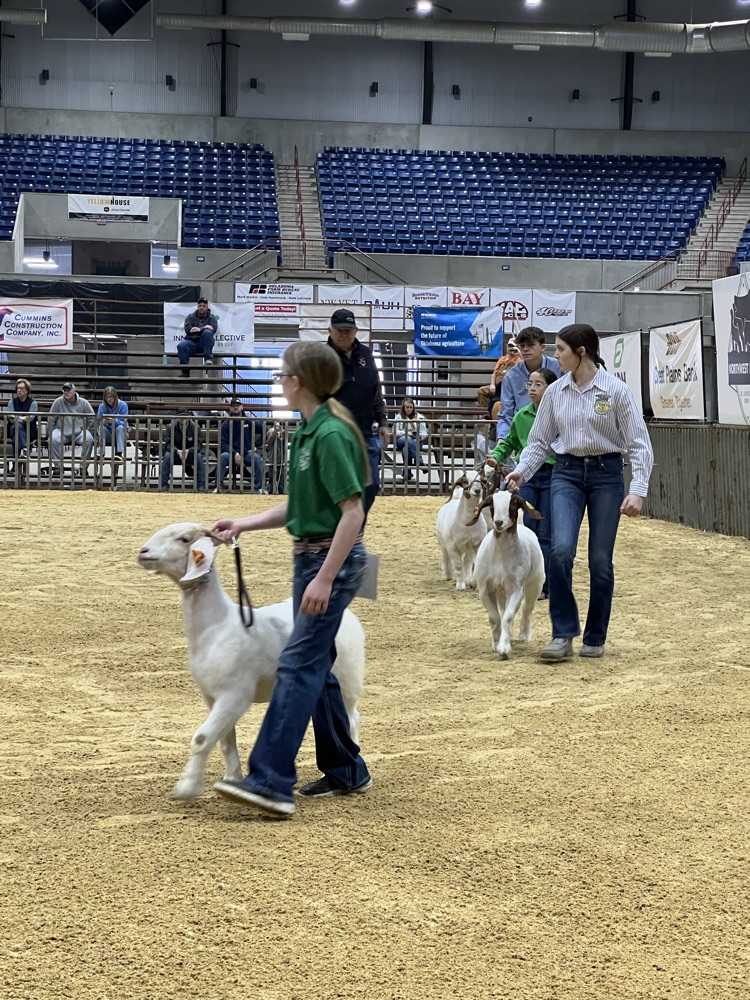 Hadley and Wild Thing!