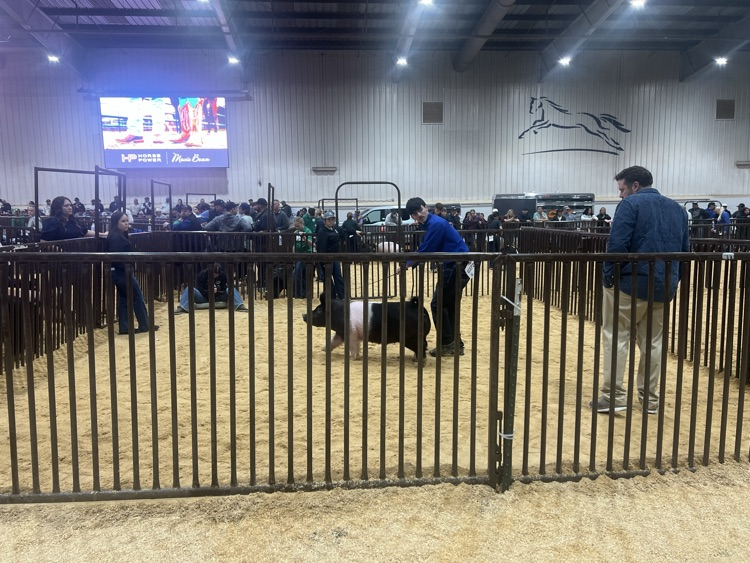 Headed to the “Hill” with the dark cross!