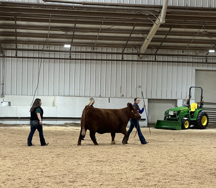 These two have had a great year! 