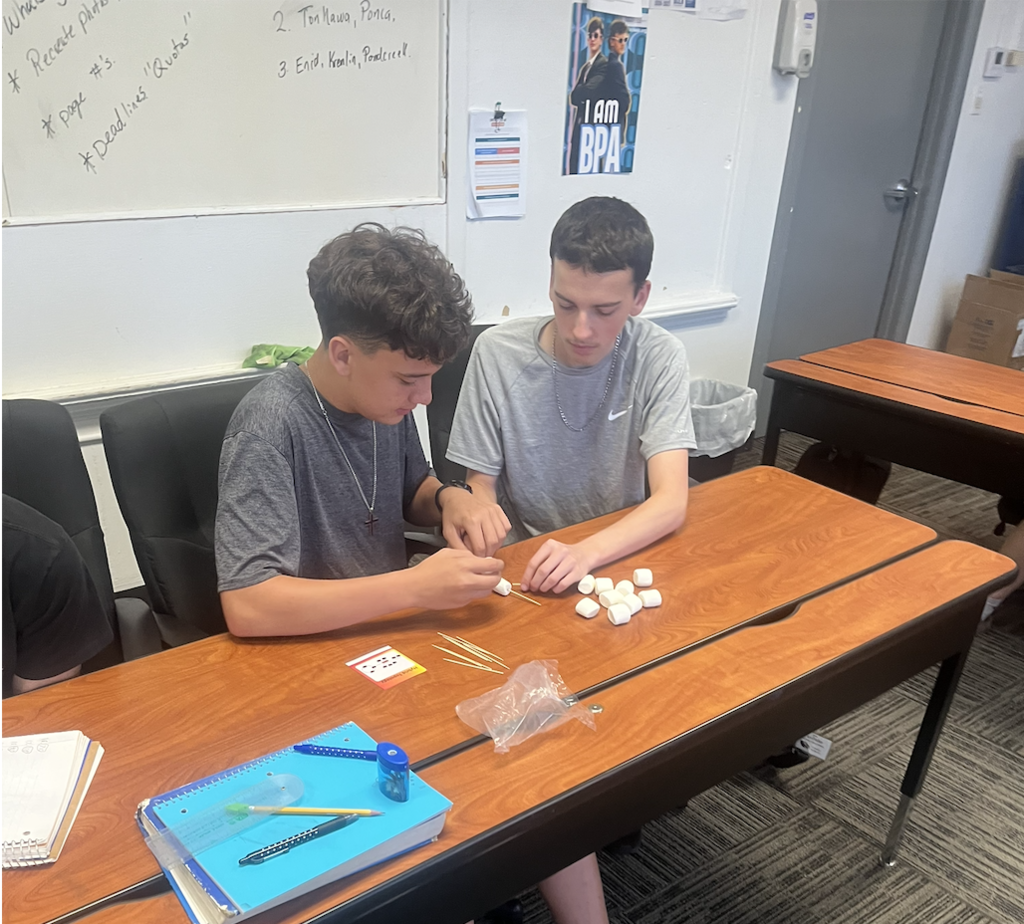 Network Lab Project