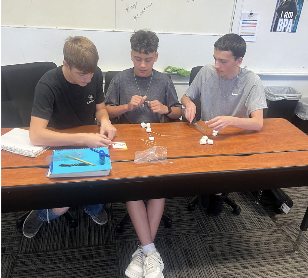 Network Lab Project