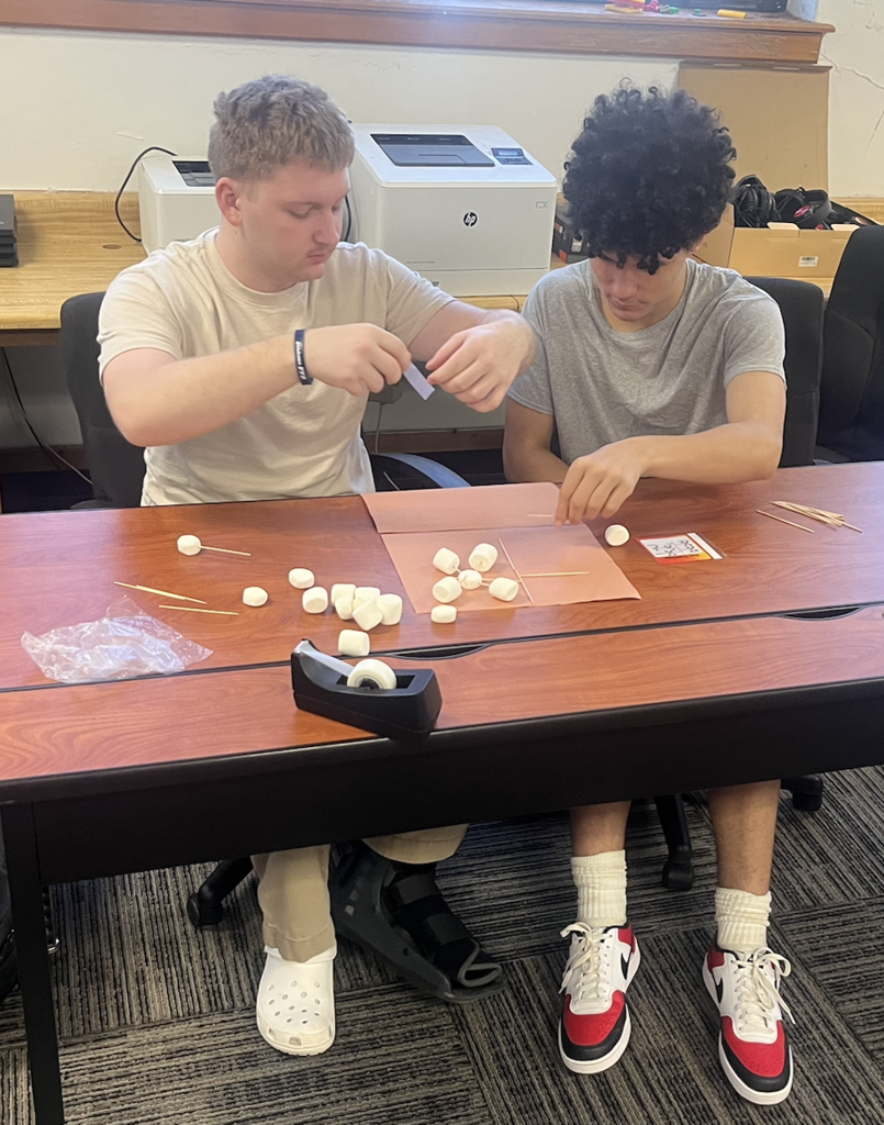Network Lab Project