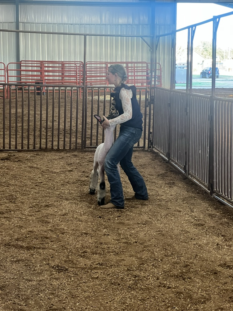 Tirsah Champion senior showman