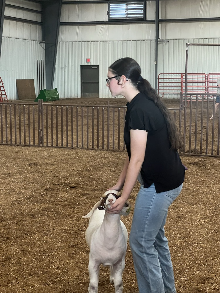 Jesslynn champion senior showman