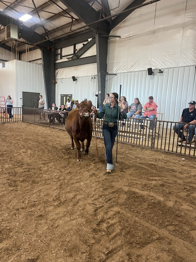 Piper Reserve Grand Heifer