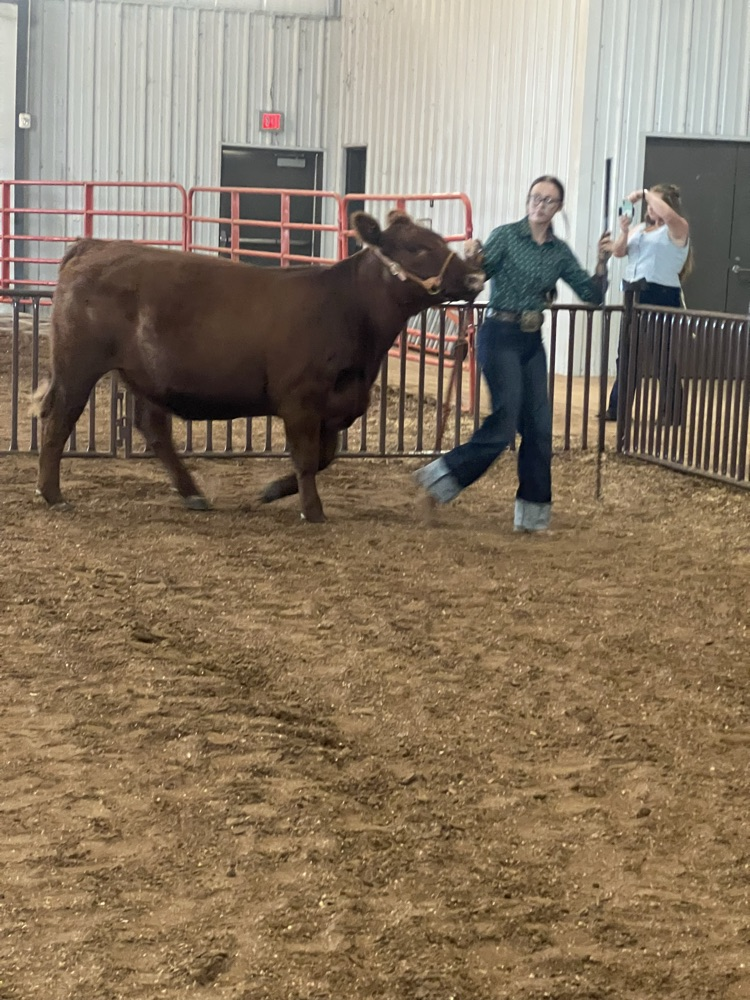 Reserve Champion Senior Showman