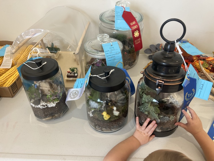 Terrariums