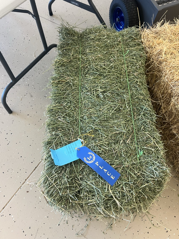 Alfalfa Hay