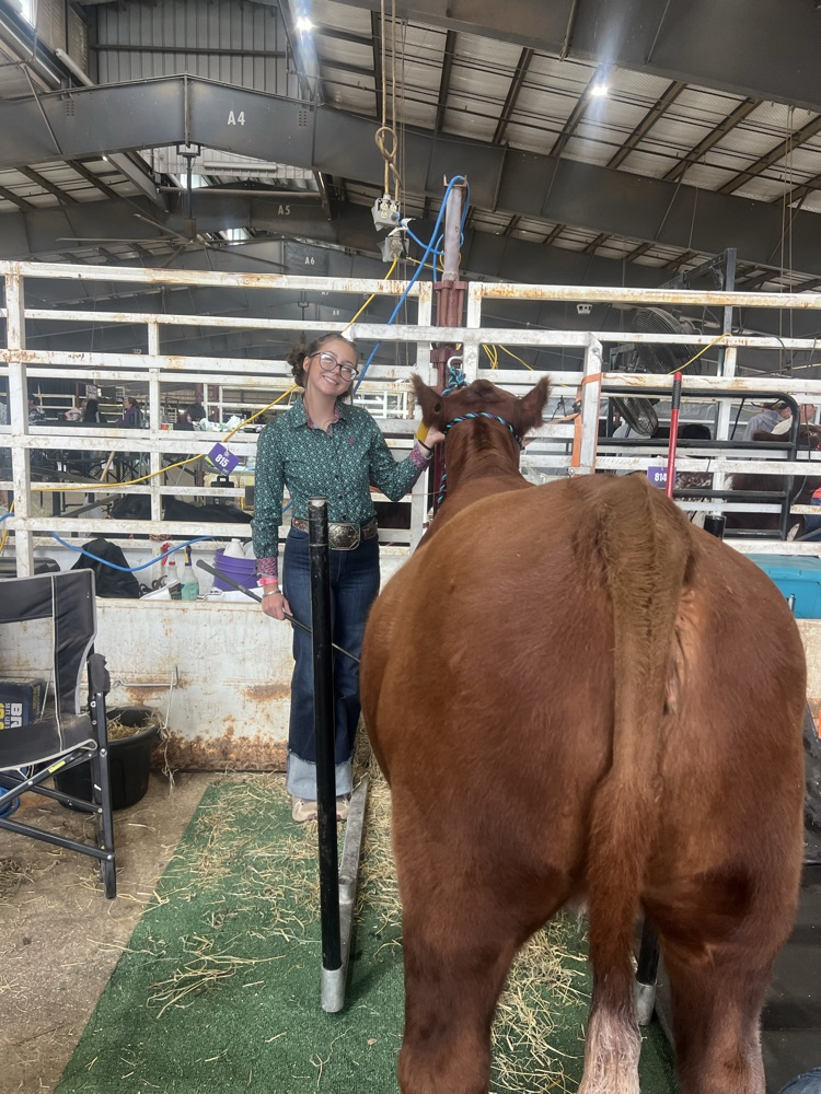 Fitting for the big show ring!