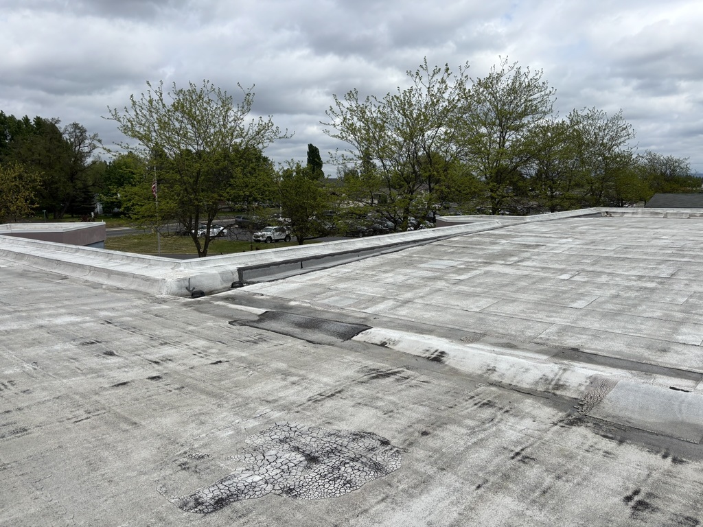 Arcadia roof
