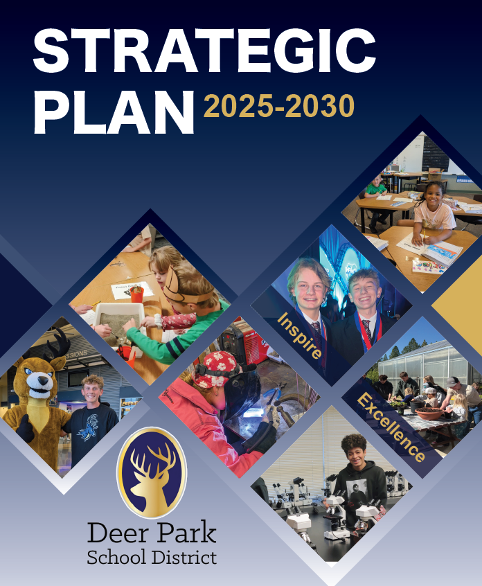 strategic plan