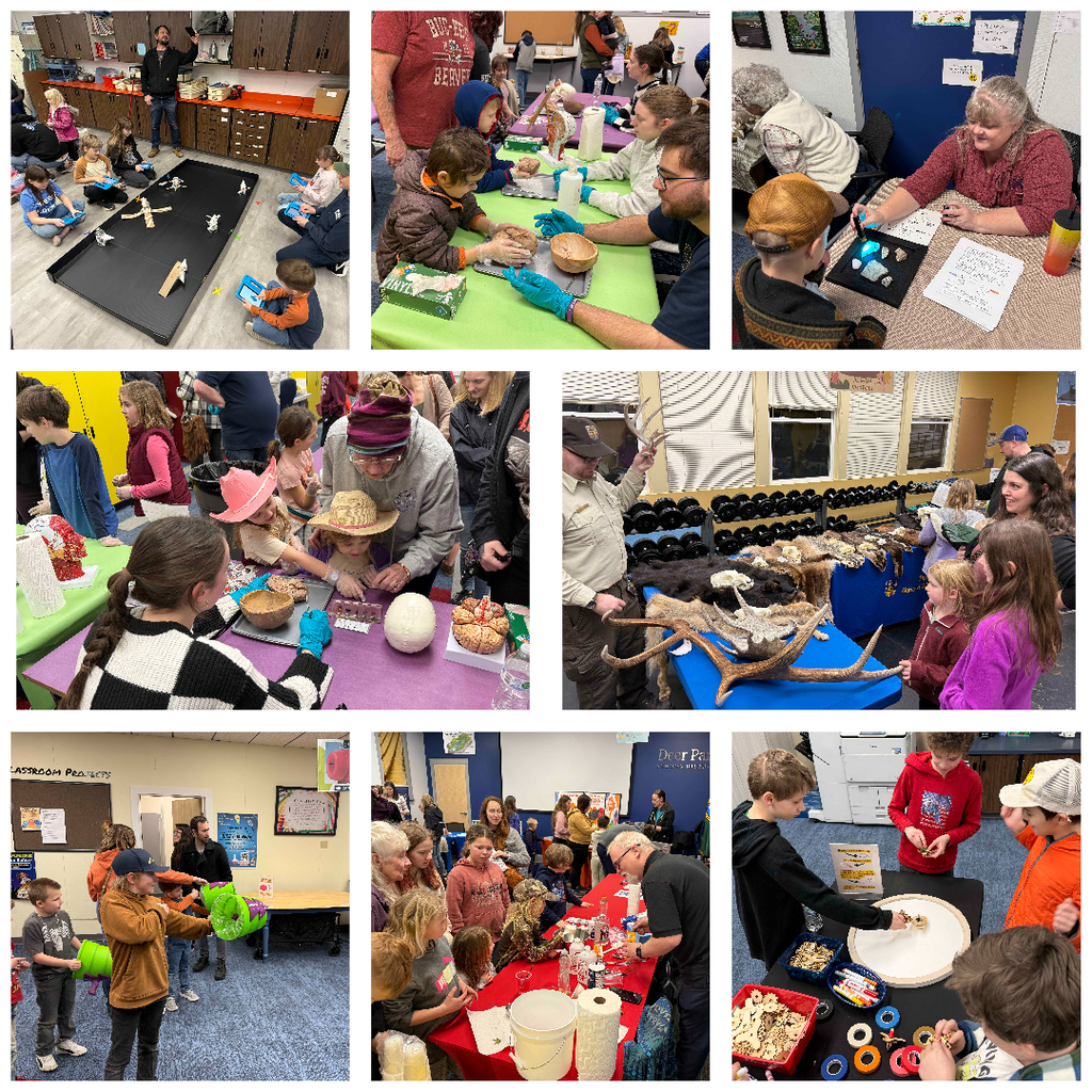 Home Link STEAM night