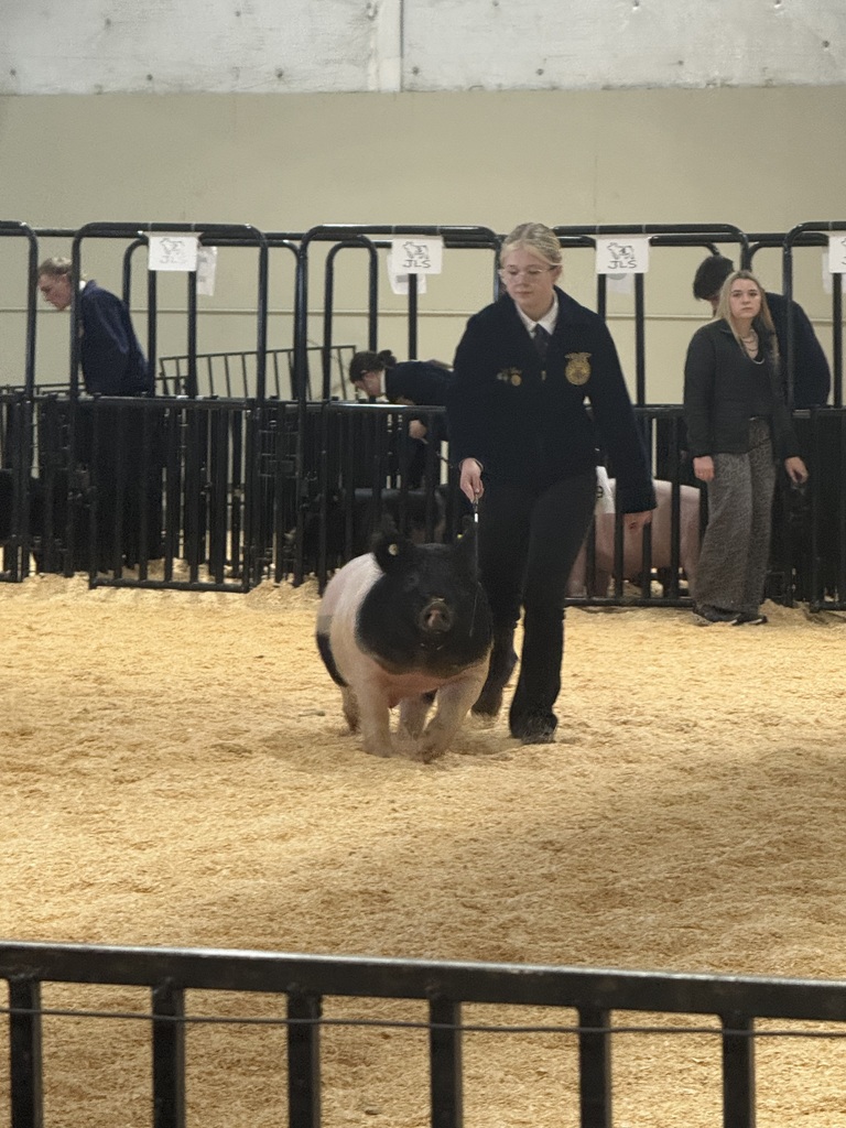 FFA Junior livestock photos of students and their animals