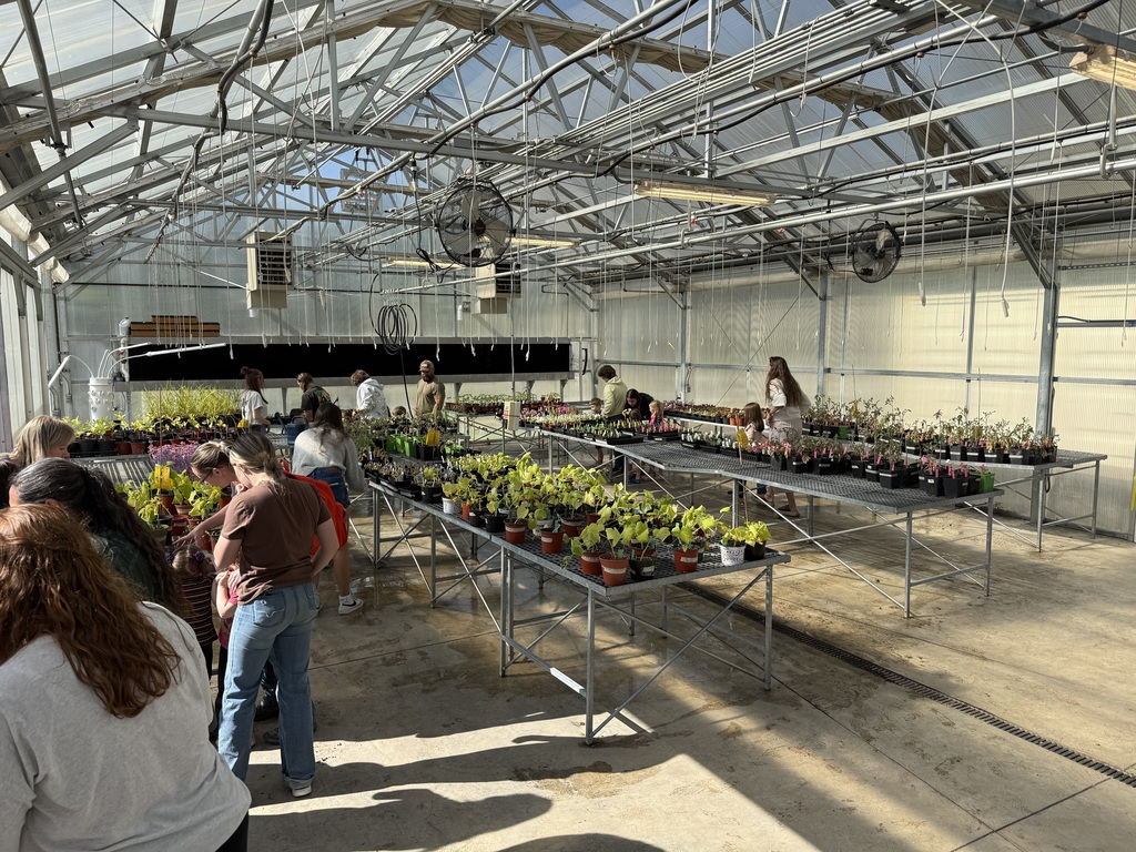 FFA students working in the greenhouse and showing their work to elementary students 