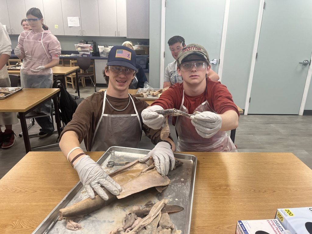 Homelink students finial week highlights - students dissecting a shark.