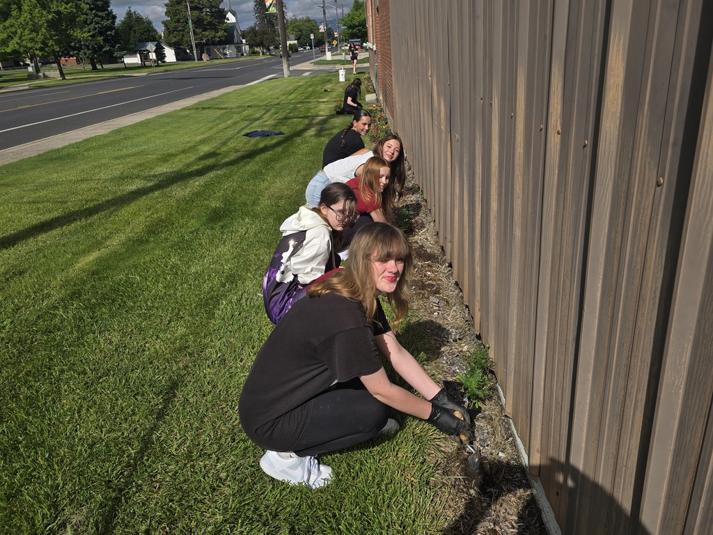 DPMS service day