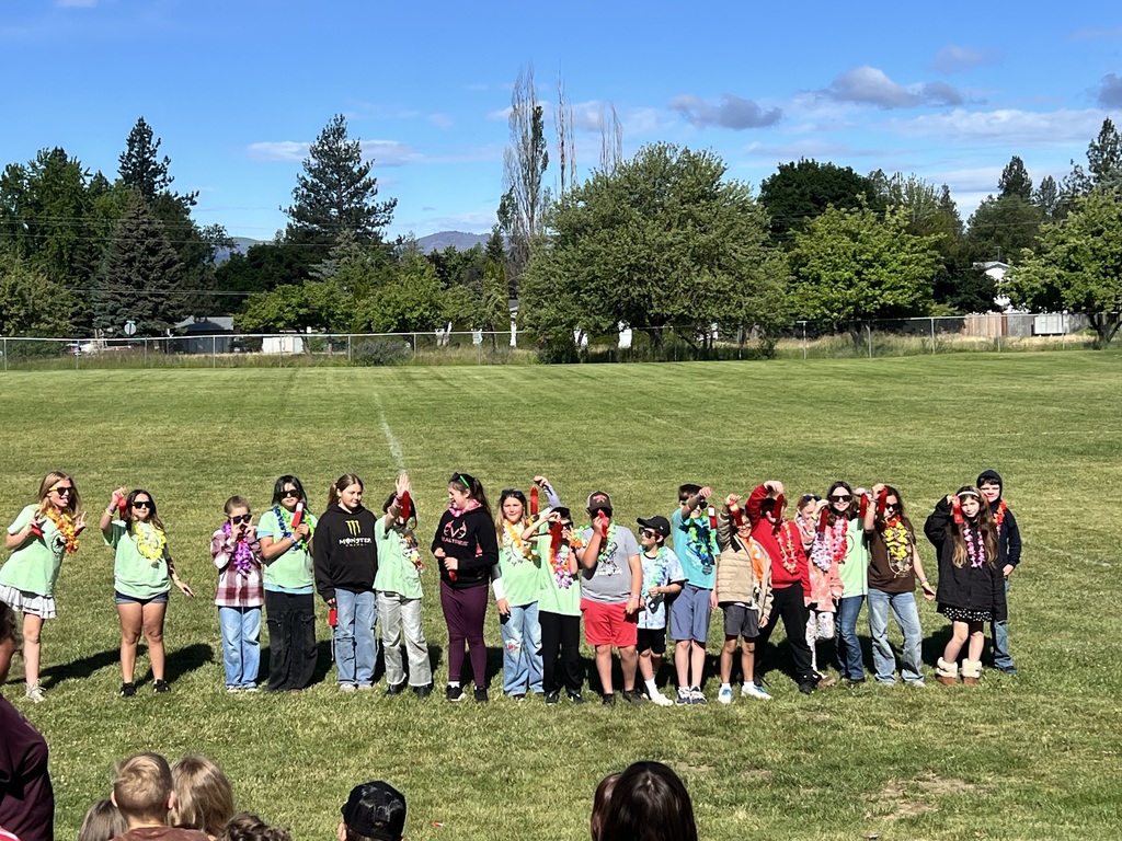Arcadia field day