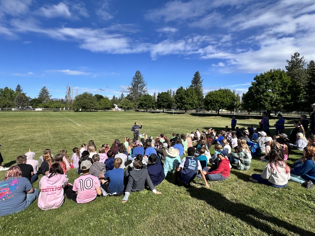 Arcadia field day