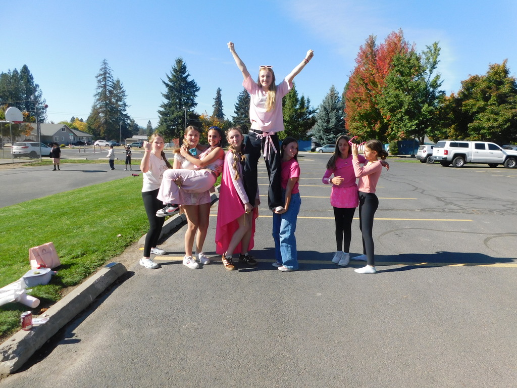 DPMS Pink Out Day