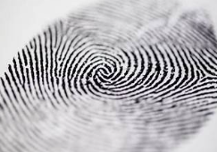 Fingerprint
