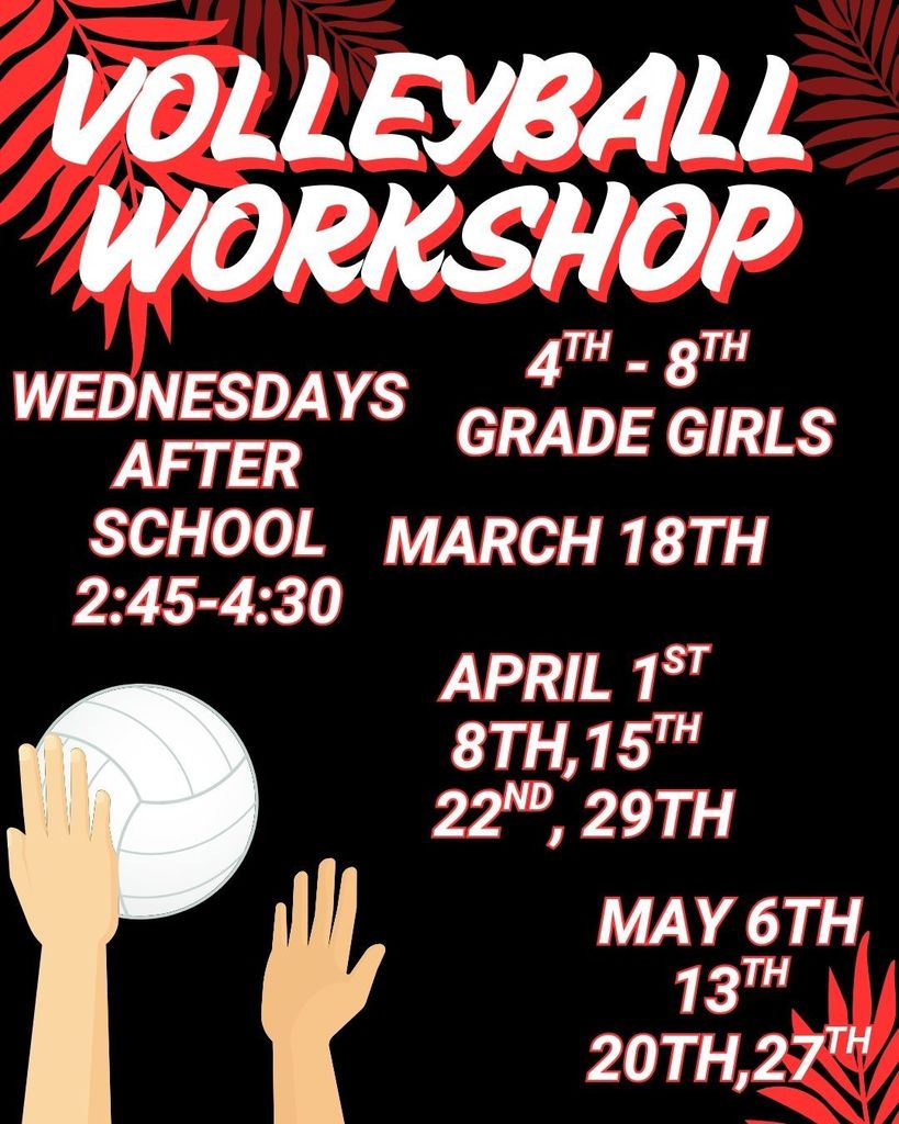Volleyball Workshop