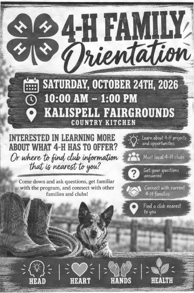 4H orientation