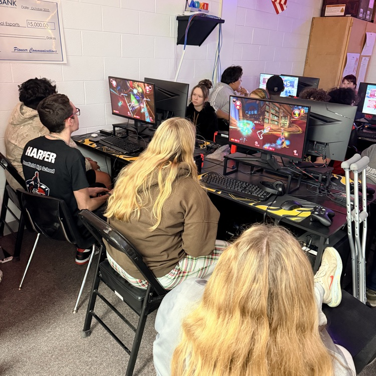 Mario Kart Blue Team