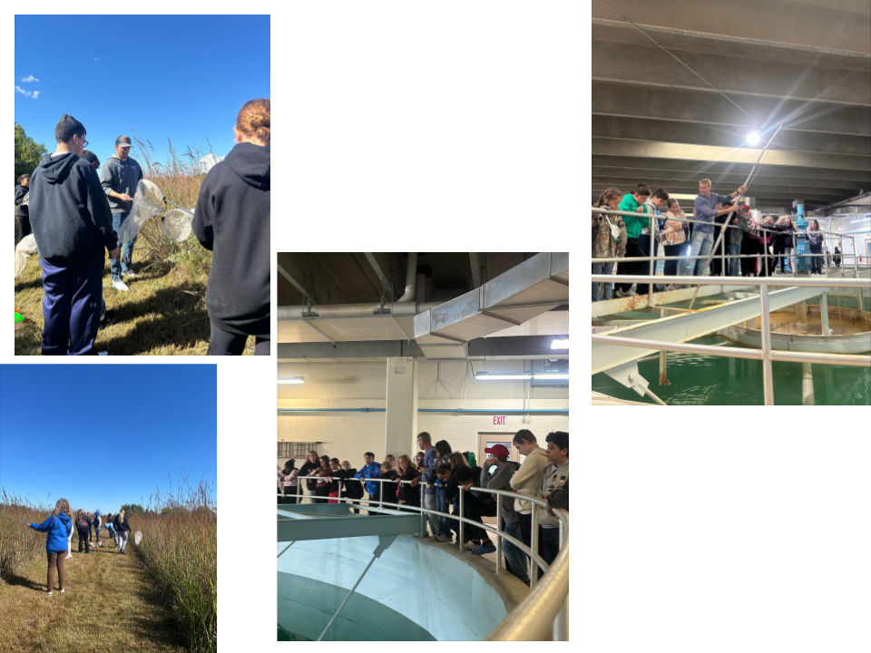 Environmental Field Trip