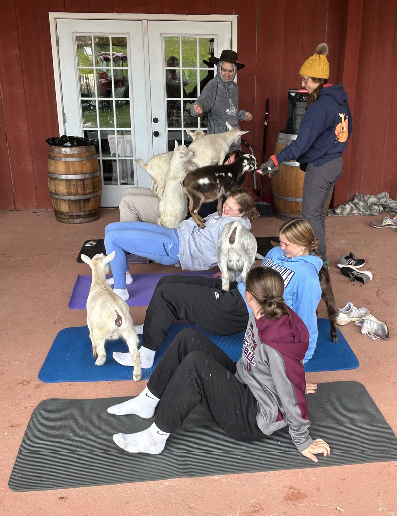 3 students and 2 adults and a bunch of goats