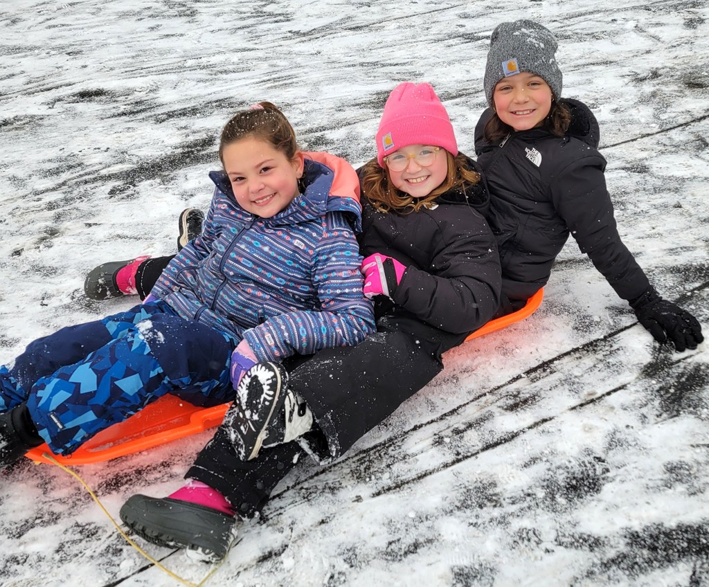 3 children sledding