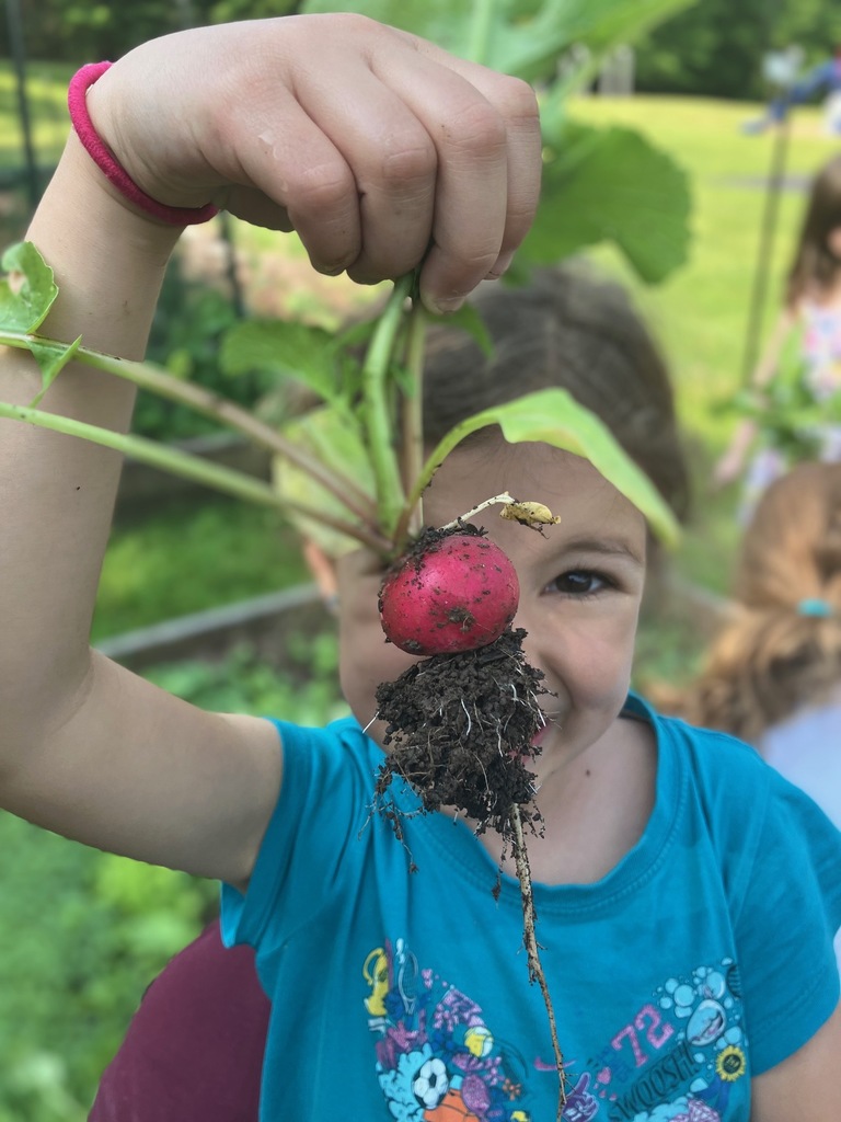 student holding radish she harvested