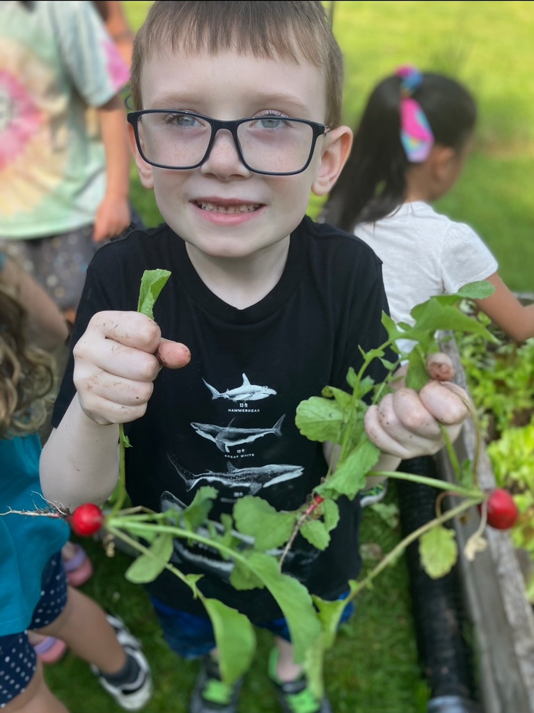 student holding harvested radishes