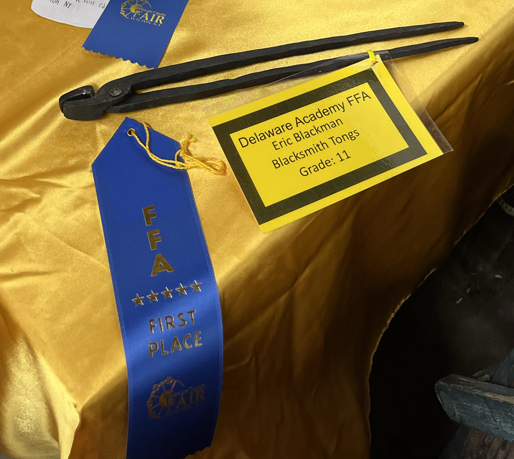 Delaware Academy FFA Eric Blackman Blacksmith Tongs Grade 11 blue ribbon