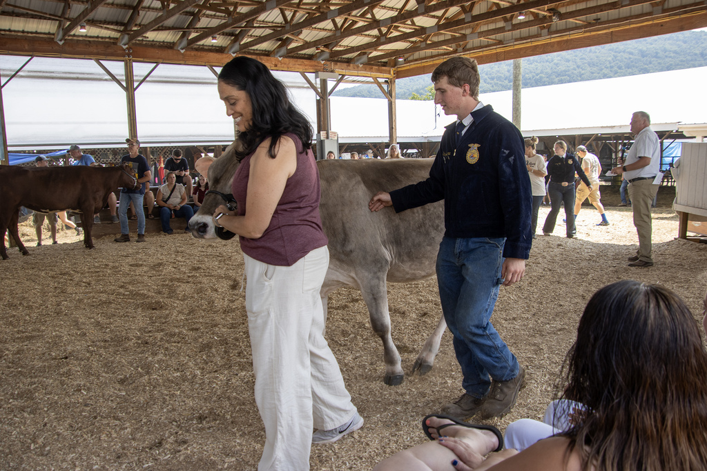Ms. Liddle leads a cow, assisted by Eric Blackman