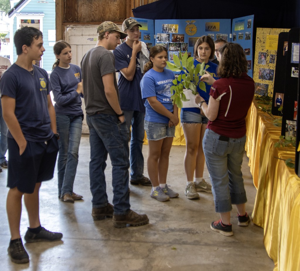 FFA members learn about tree identification