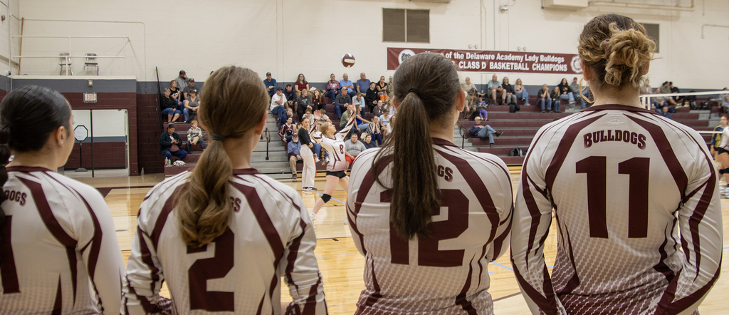 server,seen through gap in lineup of players