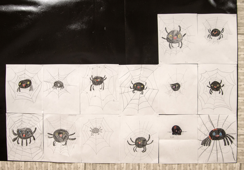 spider art
