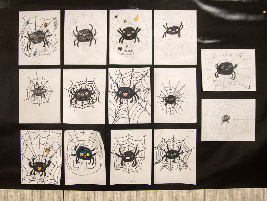 spider art