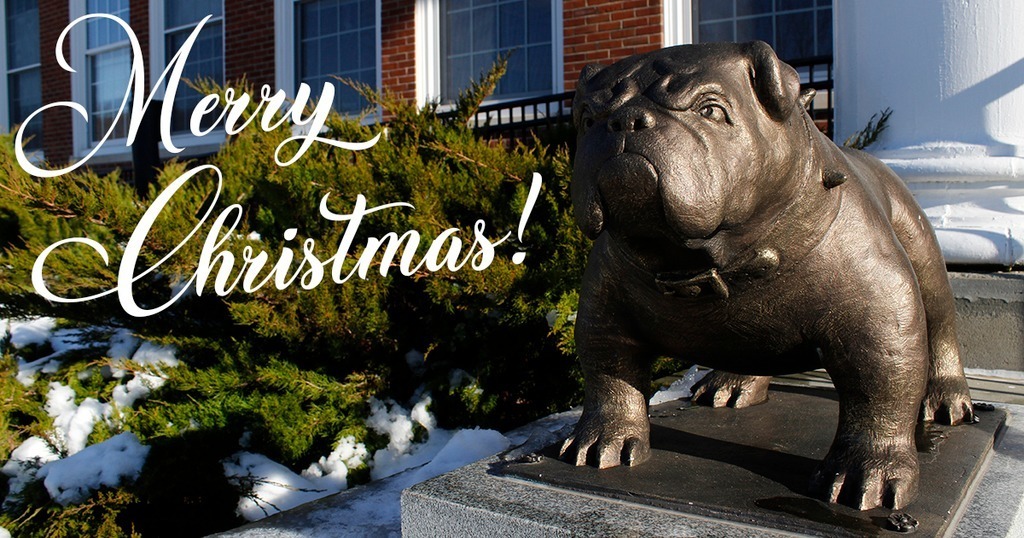 merry Christmas bulldog