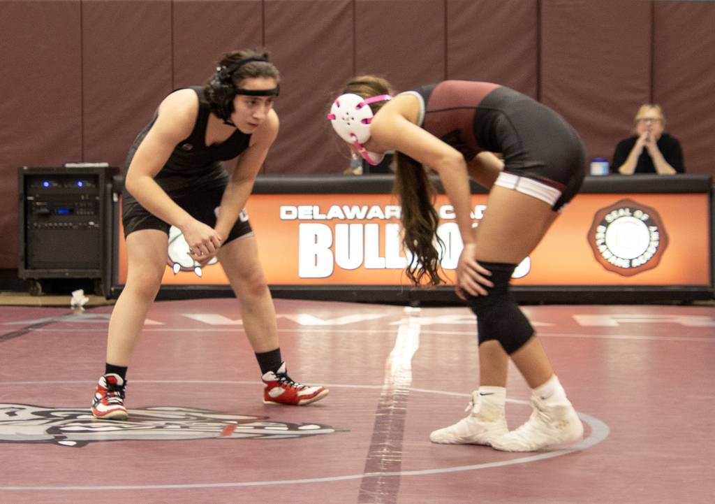 two girls wrestling