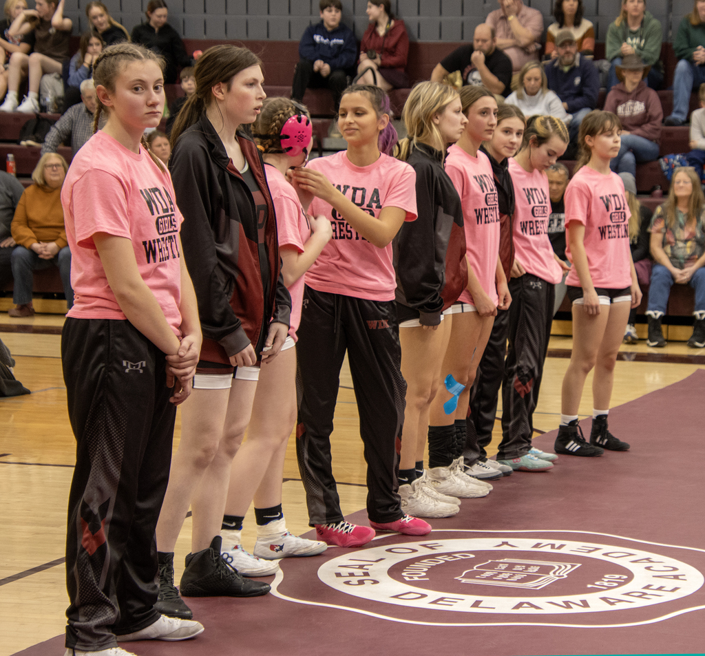 the girls wrestling team lined up on the mat