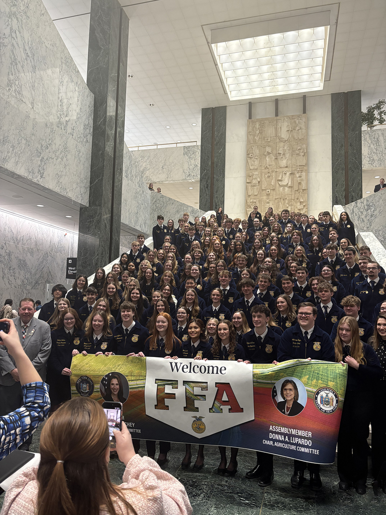 FFA group picture on steps of state legislative office builkding