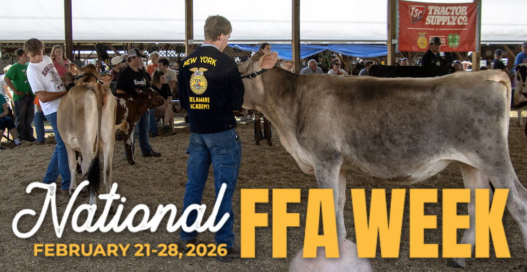 national ffa week photo (2 boys leading cows in a show as a background photo)