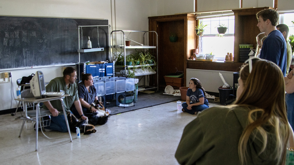 Two SUNY Delhi vet techs with a dog and portable sonogram machine demonstrate for students and  a teacher