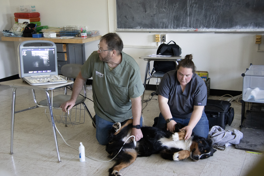 Two SUNY Delhi vet techs with a dog and portable sonogram machine
