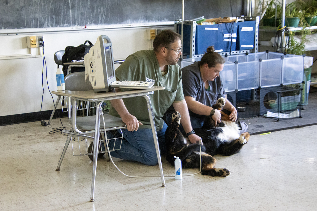 Two SUNY Delhi vet techs with a dog and portable sonogram machine