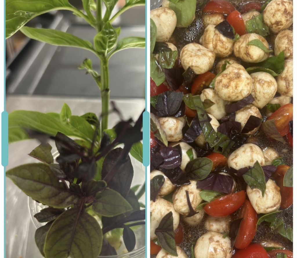 before and after photo of garden ingredient and menu item it ended up in
