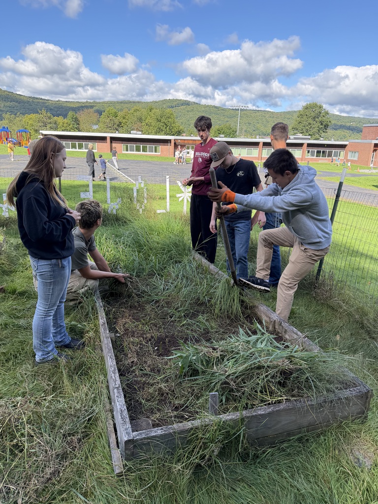 students weeding in the school garden